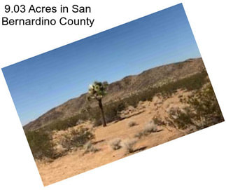 9.03 Acres in San Bernardino County