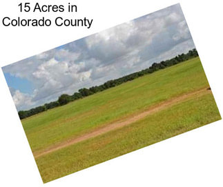 15 Acres in Colorado County