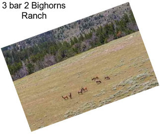 3 bar 2 Bighorns Ranch