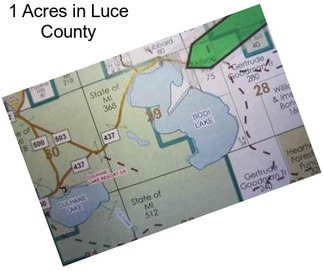 1 Acres in Luce County