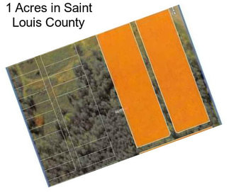 1 Acres in Saint Louis County