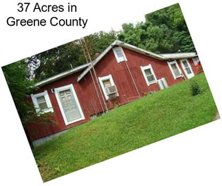 37 Acres in Greene County