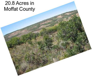 20.8 Acres in Moffat County