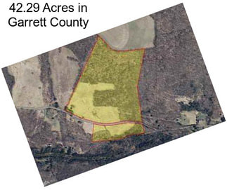 42.29 Acres in Garrett County