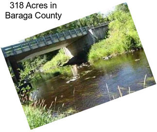 318 Acres in Baraga County