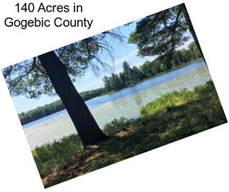 140 Acres in Gogebic County