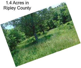 1.4 Acres in Ripley County
