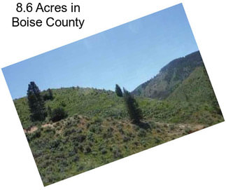 8.6 Acres in Boise County