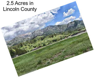 2.5 Acres in Lincoln County