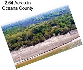 2.64 Acres in Oceana County