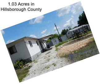 1.03 Acres in Hillsborough County