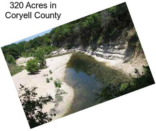 320 Acres in Coryell County