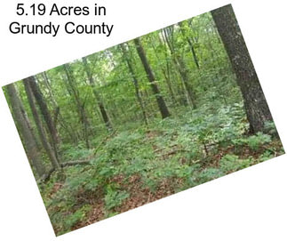 5.19 Acres in Grundy County