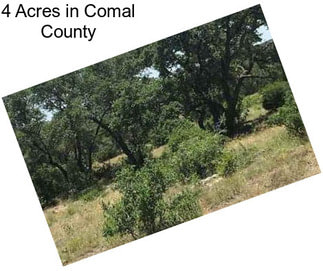 4 Acres in Comal County