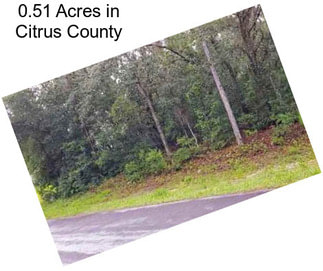 0.51 Acres in Citrus County