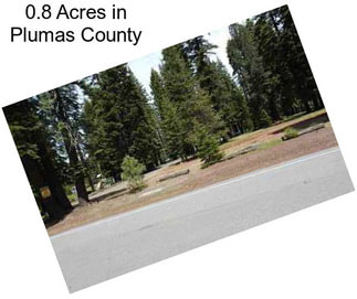 0.8 Acres in Plumas County