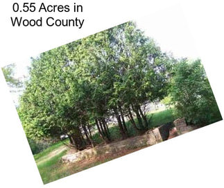 0.55 Acres in Wood County