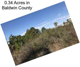 0.34 Acres in Baldwin County