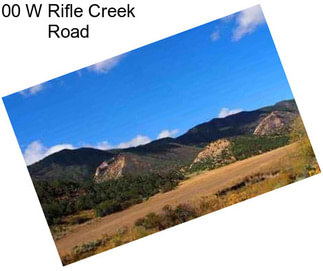 00 W Rifle Creek Road