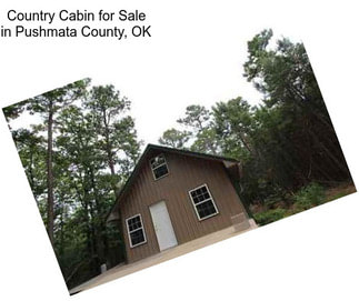 Country Cabin for Sale in Pushmata County, OK