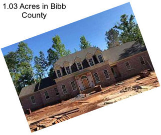 1.03 Acres in Bibb County