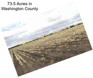 73.5 Acres in Washington County