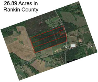 26.89 Acres in Rankin County