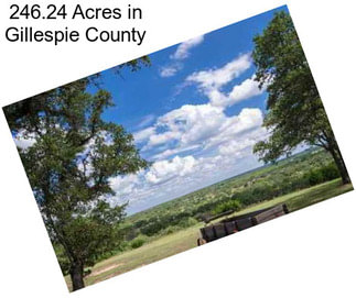 246.24 Acres in Gillespie County