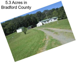 5.3 Acres in Bradford County