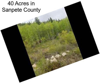 40 Acres in Sanpete County
