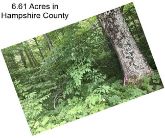 6.61 Acres in Hampshire County