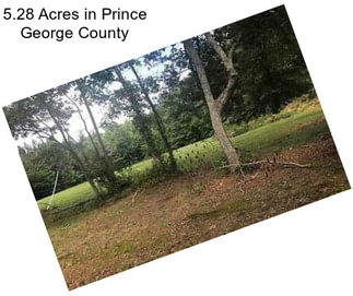 5.28 Acres in Prince George County