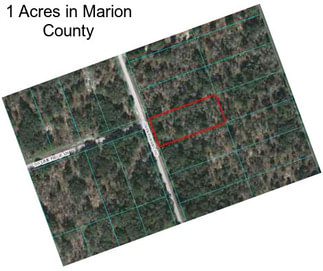 1 Acres in Marion County