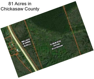 81 Acres in Chickasaw County