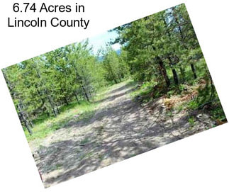 6.74 Acres in Lincoln County