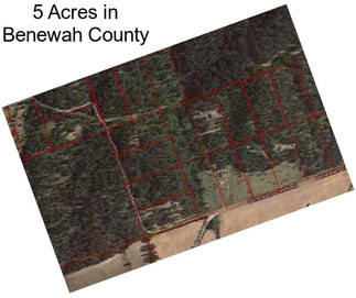 5 Acres in Benewah County