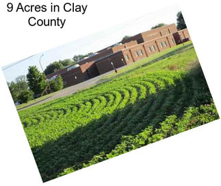 9 Acres in Clay County