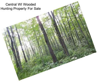 Central WI Wooded Hunting Property For Sale