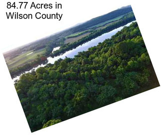 84.77 Acres in Wilson County