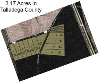 3.17 Acres in Talladega County