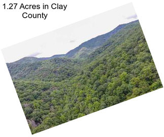 1.27 Acres in Clay County