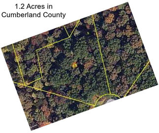 1.2 Acres in Cumberland County