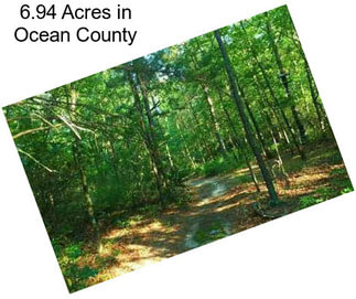 6.94 Acres in Ocean County
