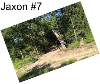 Jaxon #7
