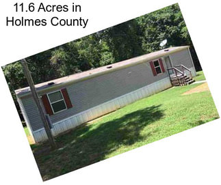 11.6 Acres in Holmes County