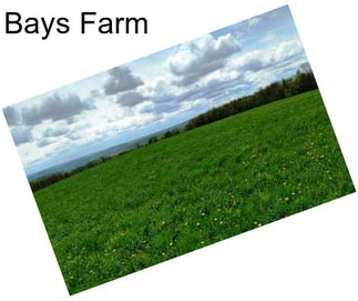 Bays Farm