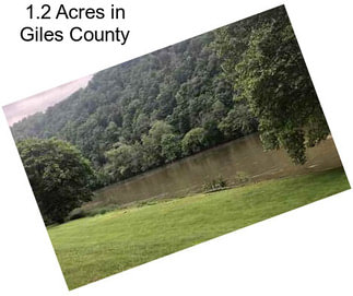 1.2 Acres in Giles County