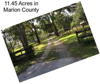 11.45 Acres in Marion County