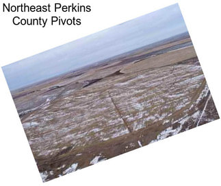 Northeast Perkins County Pivots