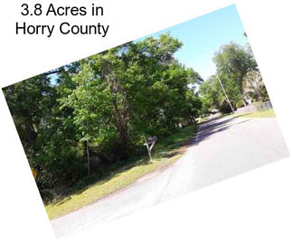 3.8 Acres in Horry County